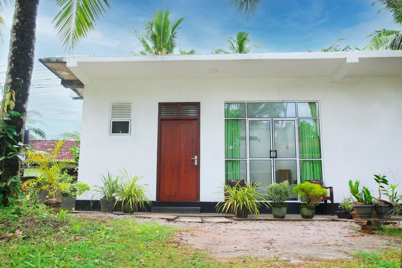 Sandy Palms Guesthouse Hikkaduwa Eksteriør billede