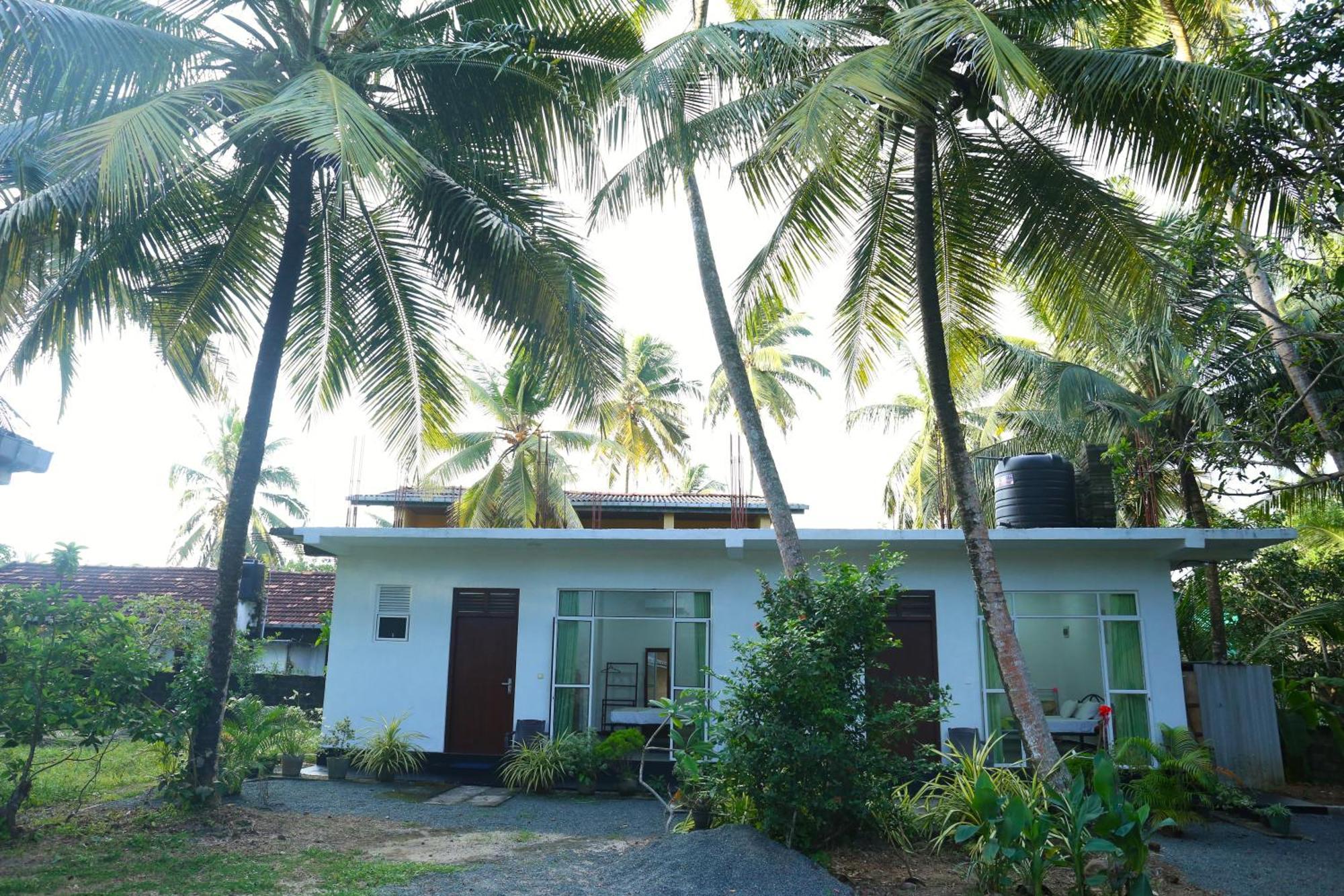 Sandy Palms Guesthouse Hikkaduwa Eksteriør billede