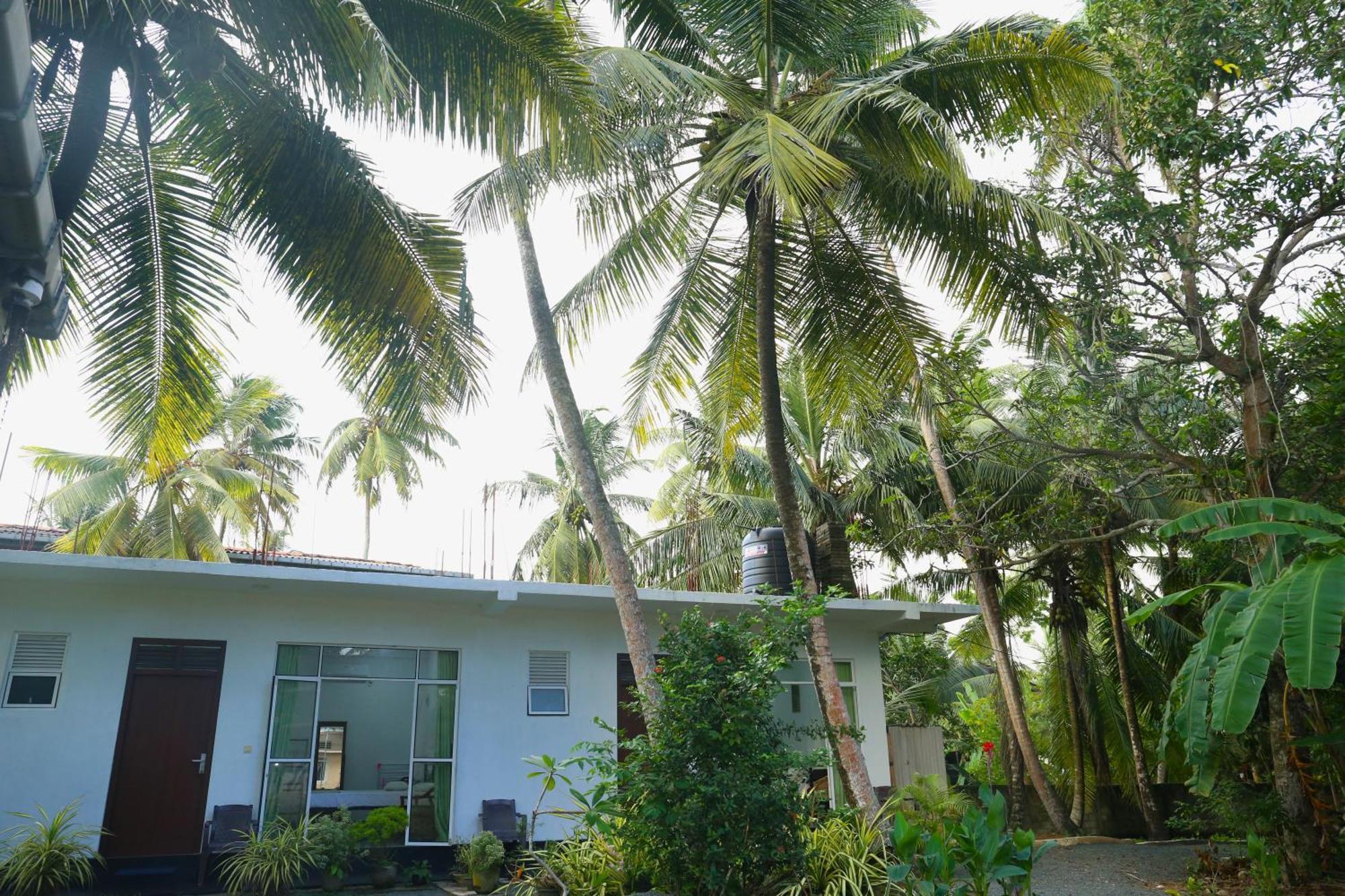 Sandy Palms Guesthouse Hikkaduwa Eksteriør billede