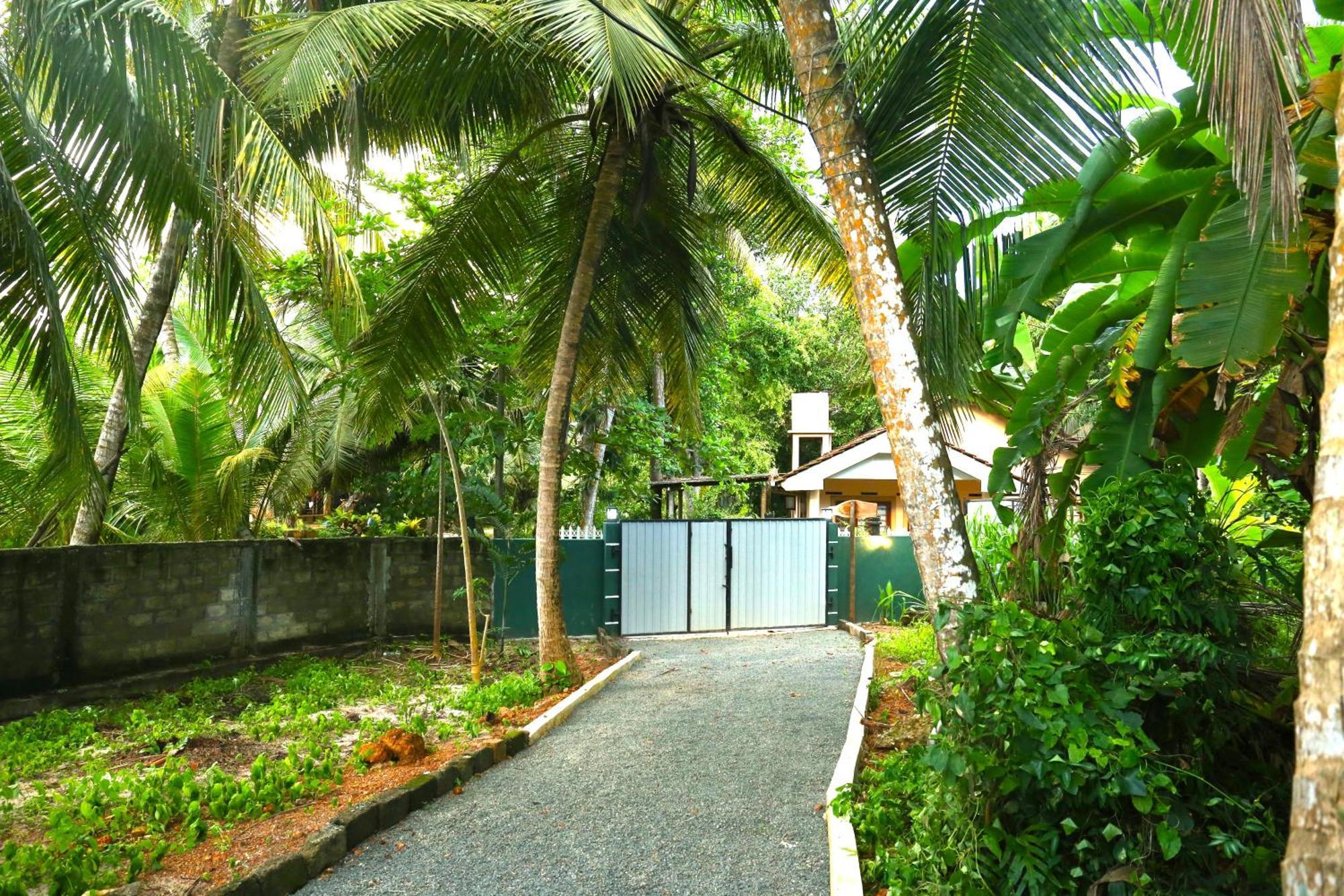 Sandy Palms Guesthouse Hikkaduwa Eksteriør billede